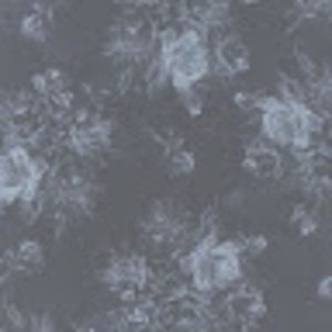 Meet your Posher, Jayce